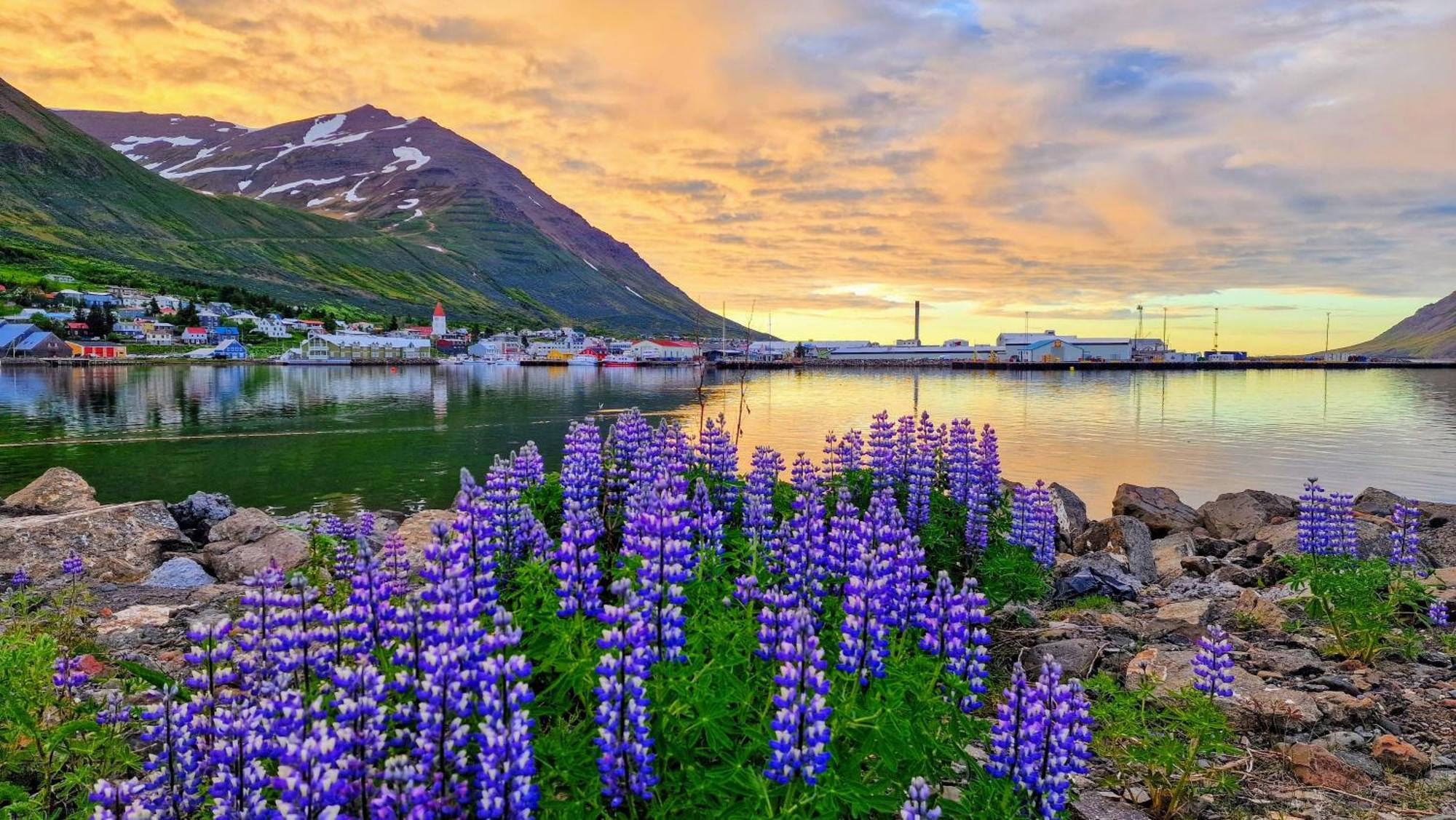 Landakot The Perfect Getaway By Staynorth Siglufjordur Luaran gambar